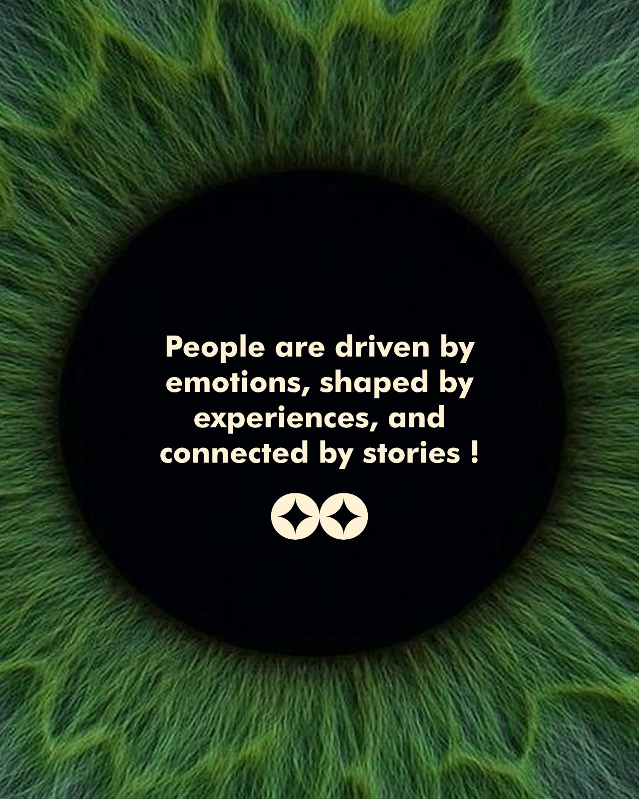 Cinco brand artwork with a green iris and a statement about emotion, experience and stories